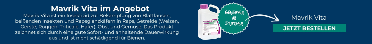 Mavrik Vita im Angebot