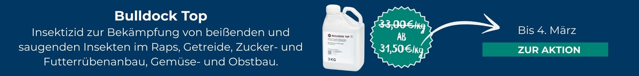 W&ouml;chentlicher Eckpreis: Bulldock Top