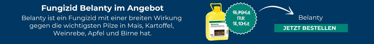 W&ouml;chentlicher Eckpreis Belanty
