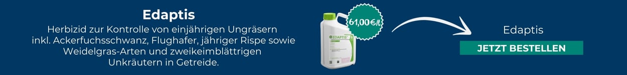 Edaptis: Jetzt bestellen