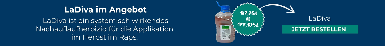 Unser aktueller Eckpreis LaDiva