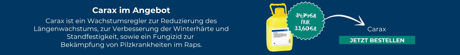 Unser aktueller Eckpreis: Carax