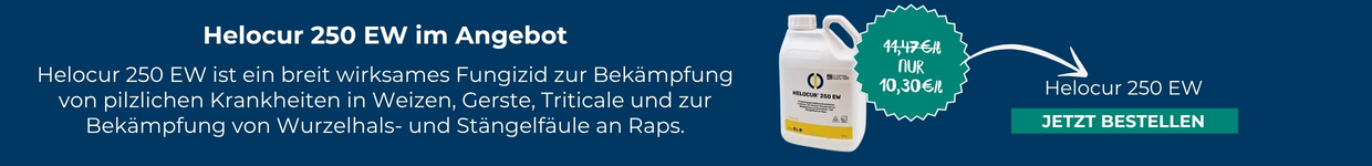 Unser aktueller Eckpreis: Helocur