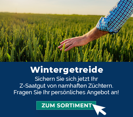 Wintergetreide