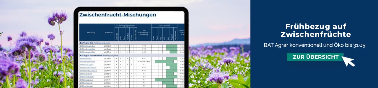 Frühbezug auf Zwischenfrüchte von Saaten-Union, DSV, KWS, BAT Agrar