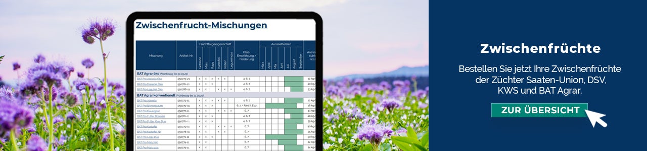 Übersicht Zwischenfrüchte 2025