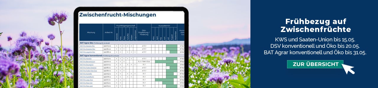 Frühbezug auf Zwischenfrüchte von Saaten-Union, DSV, KWS, BAT Agrar