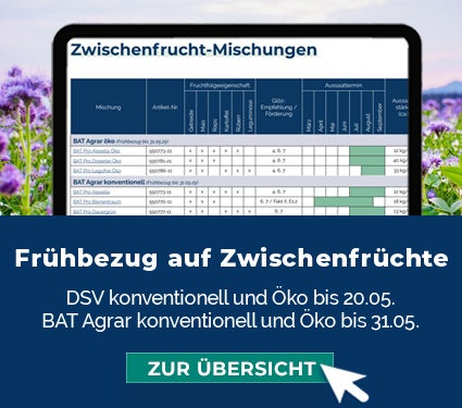 Frühbezug auf Zwischenfrüchte von Saaten-Union, DSV, KWS, BAT Agrar
