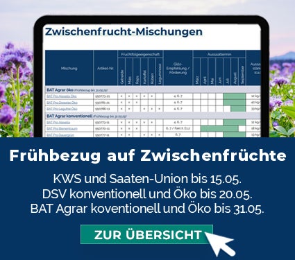 Frühbezug auf Zwischenfrüchte von Saaten-Union, DSV, KWS, BAT Agrar