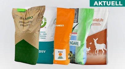 AKTUELL: Zwischenfrüchte sichern