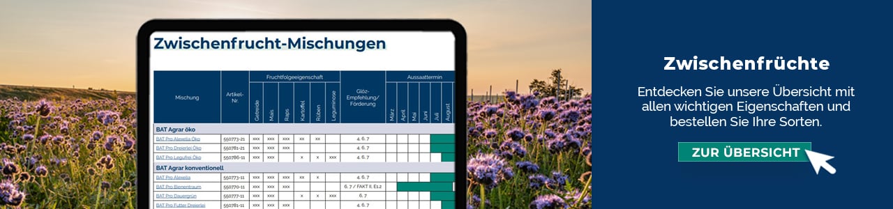 Zwischenfrüchte online kaufen bei myAGRAR! Außerdem finden Sie hier praxisorientierte Fachinformationen.