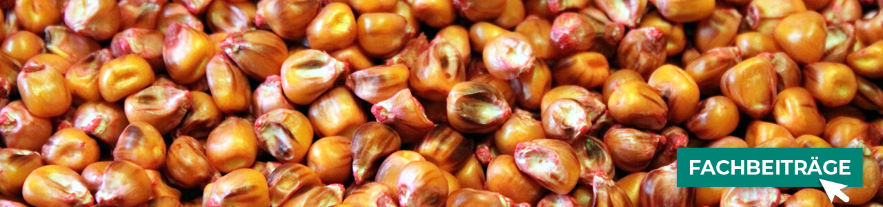 Öko-Beize online kaufen bei myAGRAR! Informieren Sie sich gleich in unseren Fachbeiträgen!