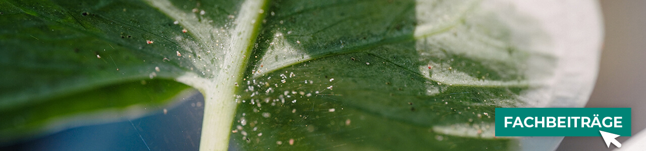 Öko-Insektizide bequem online bestellen bei myAGRAR! Zusätzlich warten hilfreiche Fachartikel! Öko-Insektizide bequem online bestellen bei myAGRAR! Zusätzlich warten hilfreiche Fachartikel!