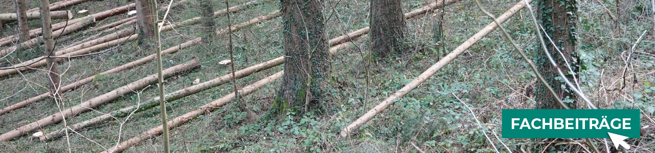 Fällheber und Wendehaken online kaufen bei myAGRAR! Informieren Sie sich zusätzlich in unseren Fachbeiträgen. Fällheber und Wendehaken online kaufen bei myAGRAR! Informieren Sie sich zusätzlich in unseren Fachbeiträgen.