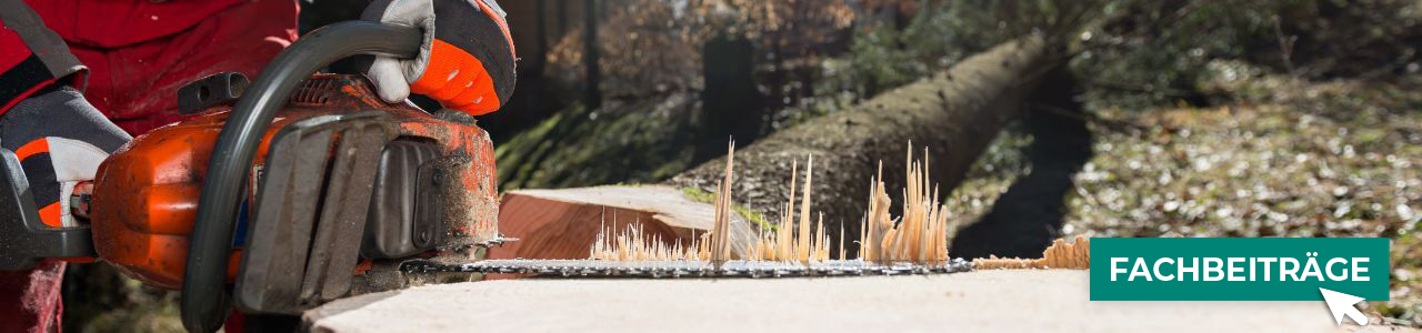 Forstartikel für die Waldarbeit bei myAGRAR! Zudem finden Sie bei uns Fachbeiträge zur Forstwirtschaft!