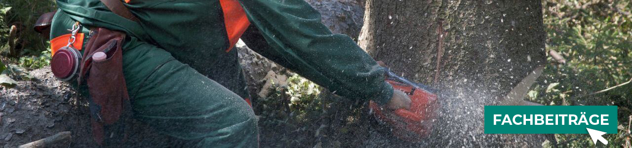 Forstzubehör online kaufen bei myAGRAR! Informieren Sie sich zusätzlich in unseren Fachartikeln. Forstzubehör online kaufen bei myAGRAR! Informieren Sie sich zusätzlich in unseren Fachartikeln.