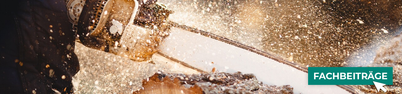 Führungsschienen in verschiedenen Längen online kaufen bei myAGRAR! Mehr Details finden Sie im Ratgeber.