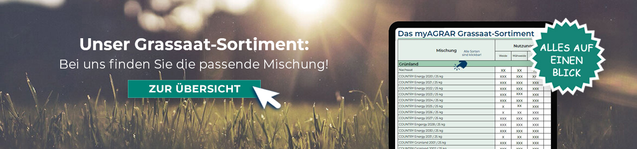 Rasensaat online kaufen bei myAGRAR! Dazu gibt’s hilfreiche Fachbeiträge für Profis und Hobbygärtner.