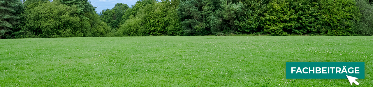 Grassaatmischungen günstig online kaufen bei myAGRAR! Informieren Sie sich zusätzlich in unseren Fachartikeln.