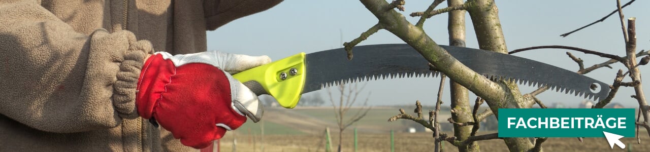 Handsägen und Scheren online bestellen bei myAGRAR – entdecken Sie auch unsere Profi-Tipps! Handsägen und Scheren online bestellen bei myAGRAR – entdecken Sie auch unsere Profi-Tipps!