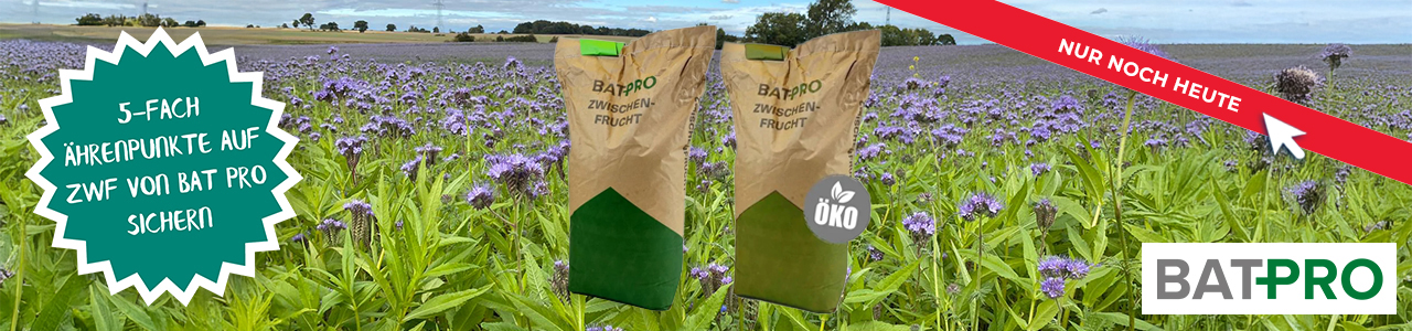 BAT Pro Zwischenfrucht Aktion