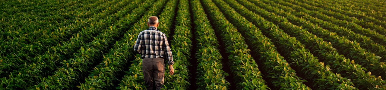 yara hersteller geb&auml;ude b&uuml;ro