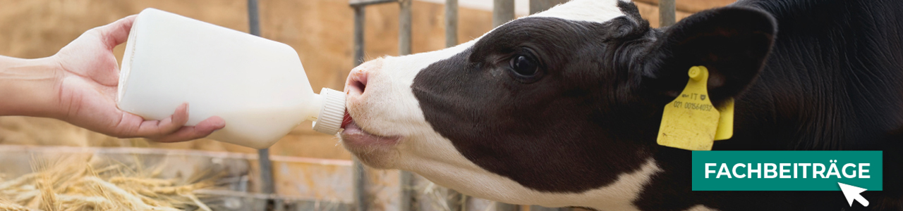 Milchaustauscher im myAGRAR-Onlineshop! Bei uns finden Sie zudem Fachbeiträge. Milchaustauscher im myAGRAR-Onlineshop! Bei uns finden Sie zudem Fachbeiträge.