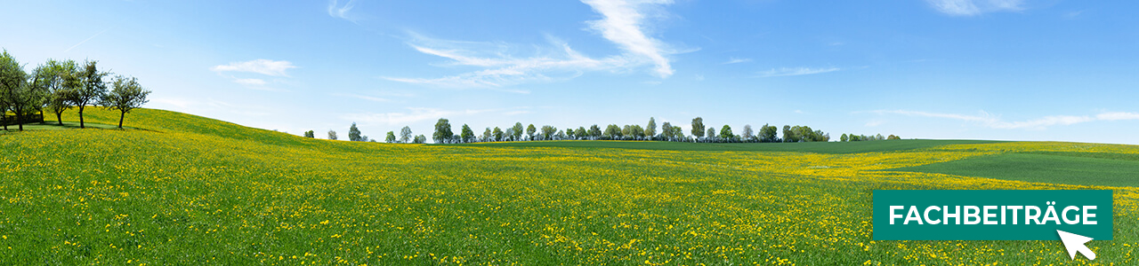 Öko-Grassaat bequem online bestellen bei myAGRAR! Plus: Tipps und Fachbeiträge für Ihre Landwirtschaft!