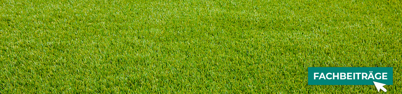 Rasensaat online kaufen bei myAGRAR! Dazu gibt’s hilfreiche Fachbeiträge für Profis und Hobbygärtner.