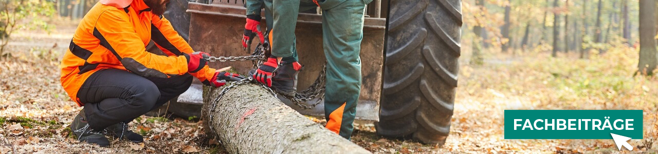 Forstketten online bestellen bei myAGRAR – und gleich die passenden Tipps dazu lesen! Forstketten online bestellen bei myAGRAR – und gleich die passenden Tipps dazu lesen!