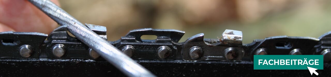 Feilen für Sägeketten online kaufen bei myAGRAR! Mehr Know-how finden Sie im Ratgeberbereich. Feilen für Sägeketten online kaufen bei myAGRAR! Mehr Know-how finden Sie im Ratgeberbereich.
