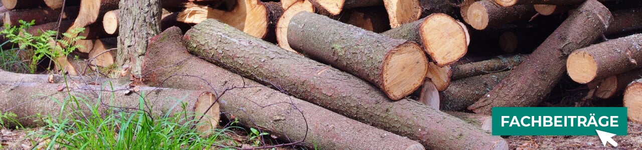 Schleppzangen online kaufen bei myAGRAR! Fachwissen gibt’s direkt dazu.