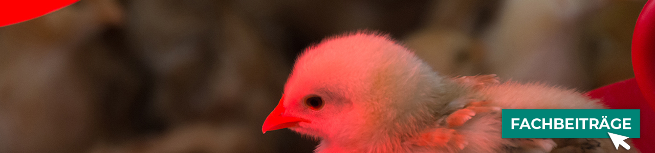 Stallbedarf bequem kaufen bei myAGRAR! Informieren Sie sich zusätzlich in unseren Fachartikeln! Stallbedarf bequem kaufen bei myAGRAR! Informieren Sie sich zusätzlich in unseren Fachartikeln!