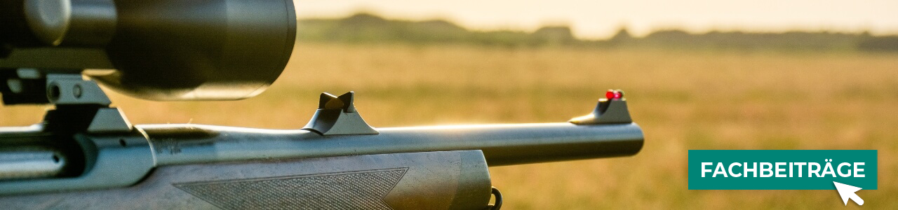 Jagdbedarf online bestellen bei myAGRAR – entdecken Sie auch unsere Expertenbeiträge!