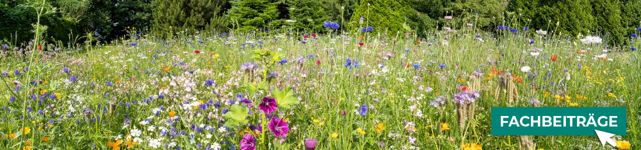 Jagdbedarf online bestellen bei myAGRAR – entdecken Sie auch unsere Expertenbeiträge!