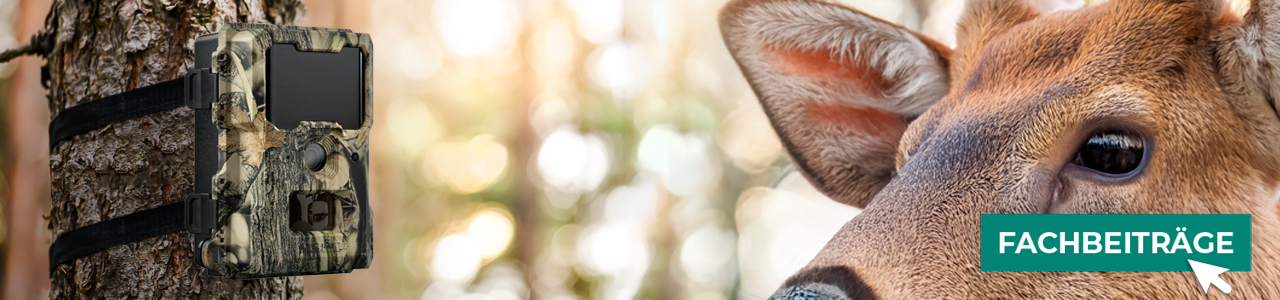 Wildkameras online bestellen bei myAGRAR! Auch Fachbeiträge zur Land- und Forstwirtschaft finden Sie bei uns!