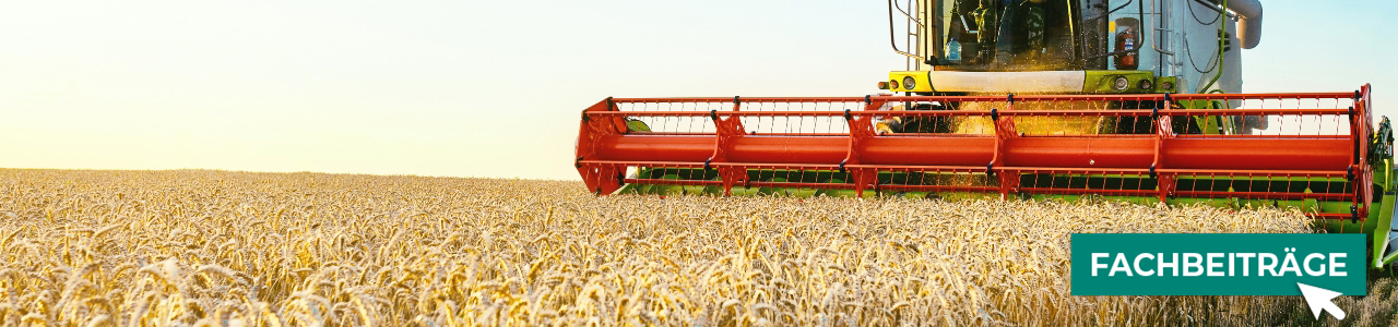 Winterweizensaatgut online kaufen bei myAGRAR! Zudem finden Sie hier landwirtschaftliche Fachbeiträge.